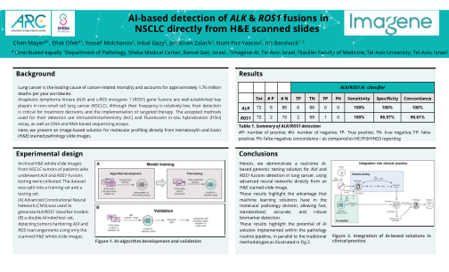 基于人工智能的 NSCLC 中 ALK 和 ROS1 融合检测...